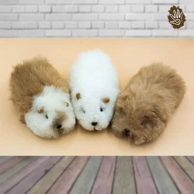 3 Pcs. Alpaca Guinea Pigs 3.5"