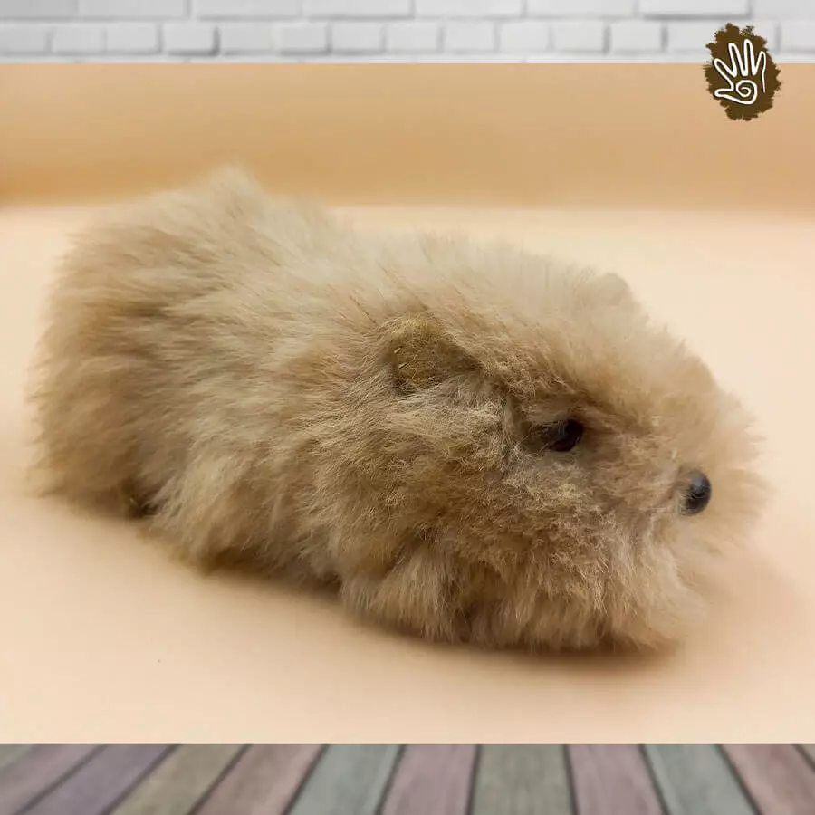 3 Pcs. Alpaca Guinea Pigs 3.5" - Image 4