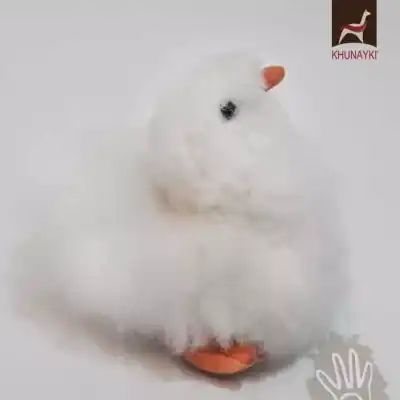 Alpaca Fur Pigeon