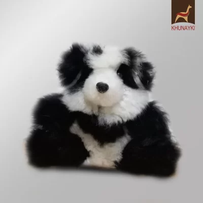 Little Panda Bear Sitting
