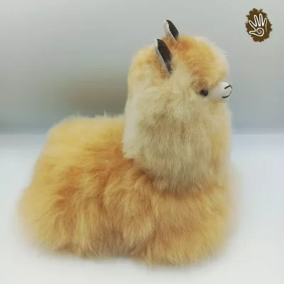 Alpaca Sitting Down