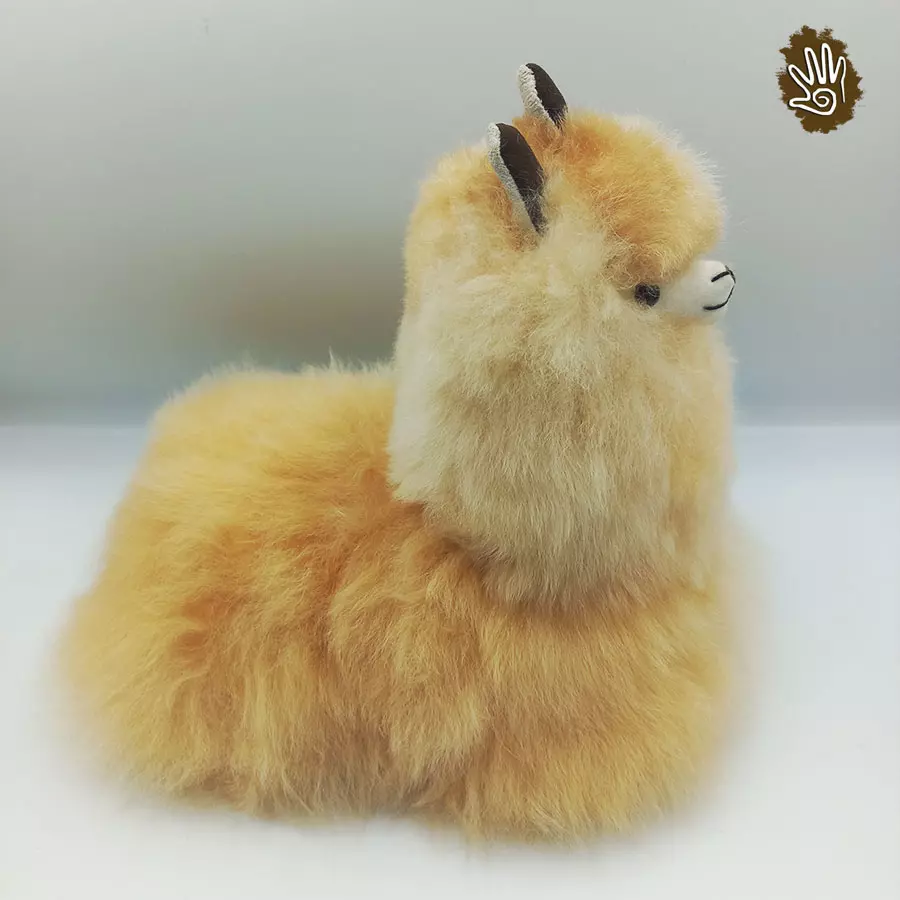 Alpaca Sitting Down