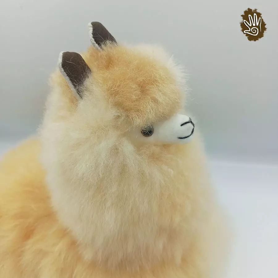 Alpaca Sitting Down - Image 2