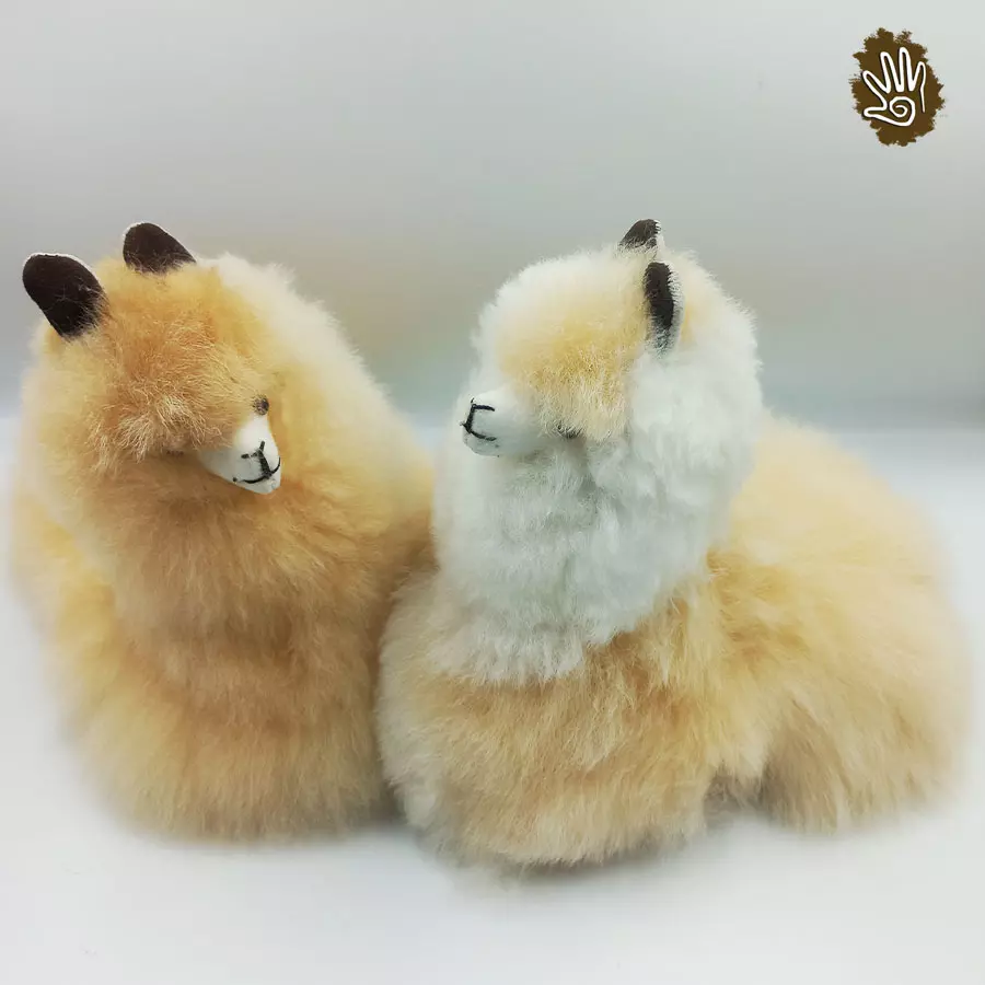 Alpaca Sitting Down - Image 3