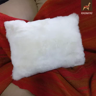 Kidney Pillow Cover