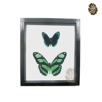 Minimalist Butterfly Frame