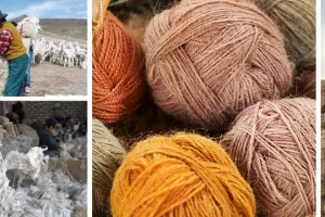The Essence and Characteristics of Alpaca Fiber