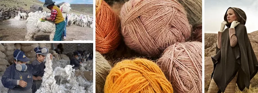 The Essence and Characteristics of Alpaca Fiber