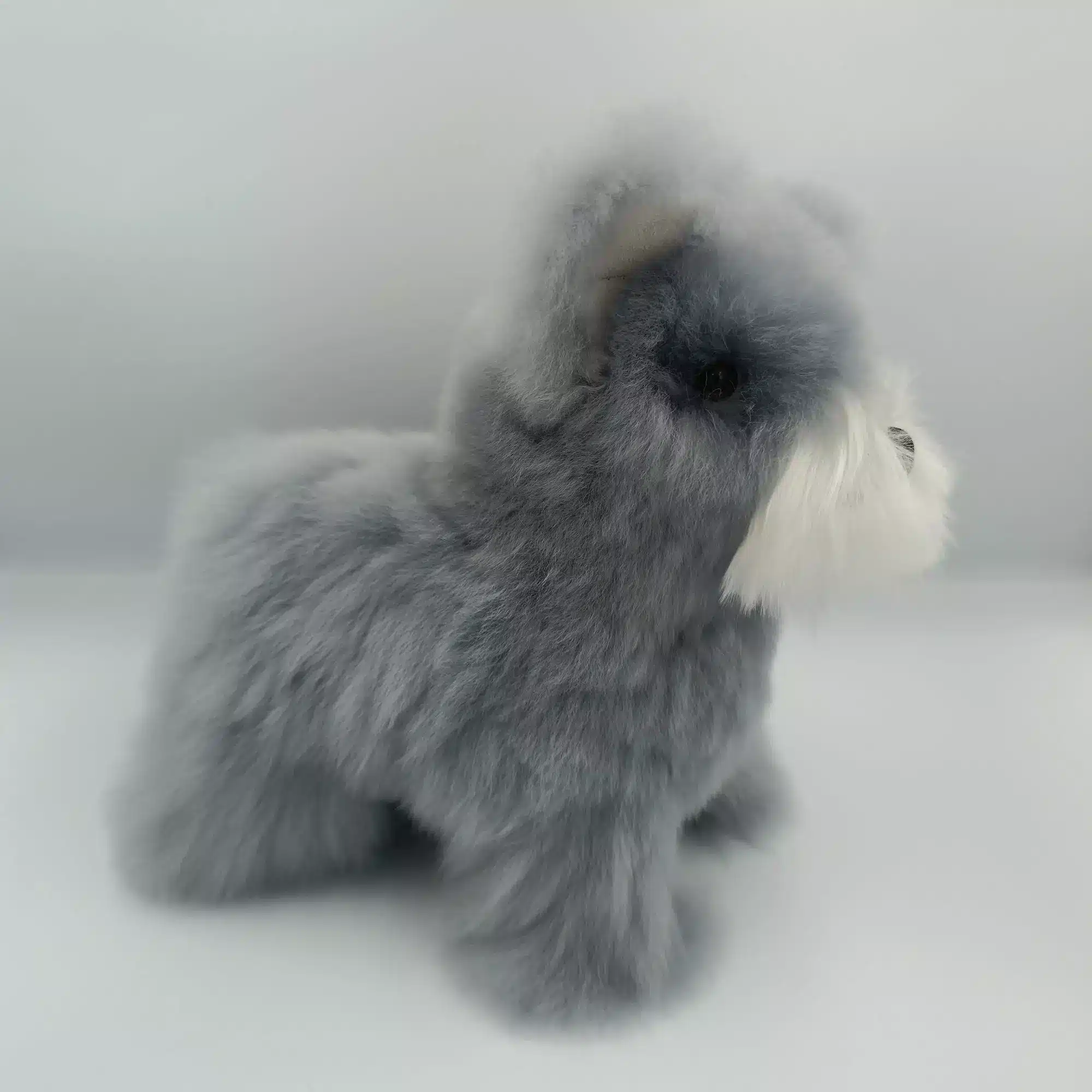 Alpaca Fur Schnauzer Dog - Image 5