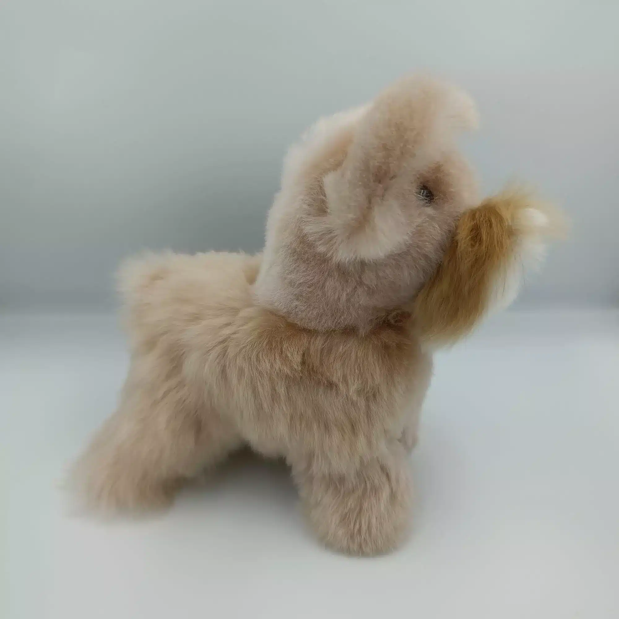 Alpaca Fur Schnauzer Dog - Image 2